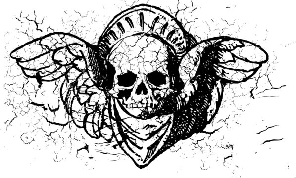 Winged skull illustration