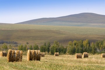 Hay Bale