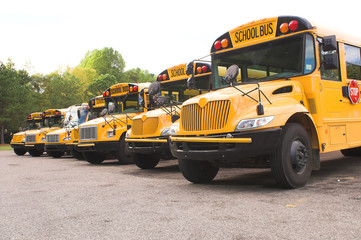 School Buses