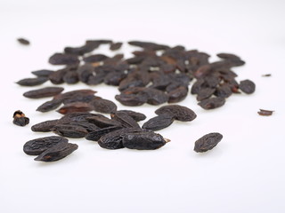 tonkabohnen vom tonka baum