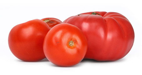 group of tomatos