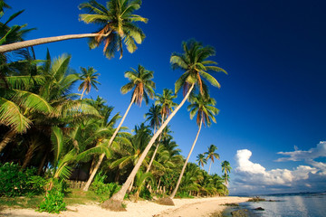 Beautiful tropical beach paradise