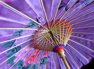 purple oriental umbrella