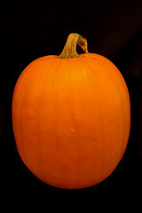 Pumpkin2