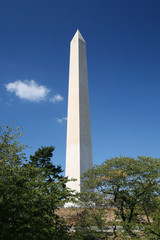 Obraz premium Washington Memorial