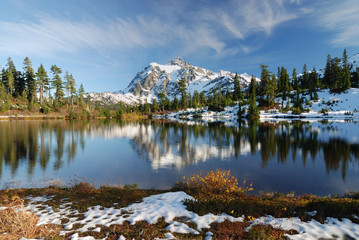 Foliage at Picture Lake