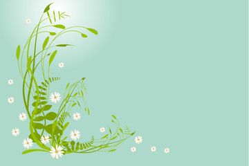 flowers and plants illustrated postcard
