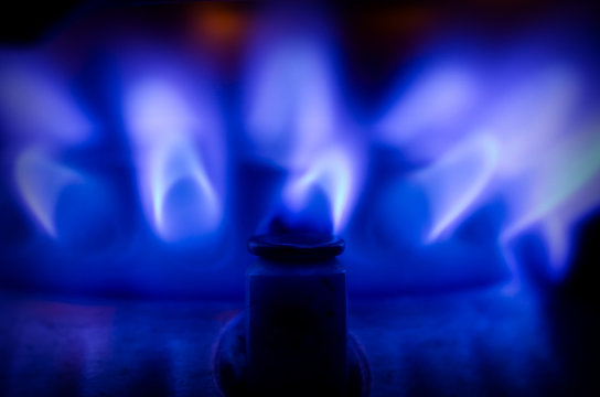 Blue Gas Flame