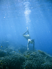 Coral reef snorkeling