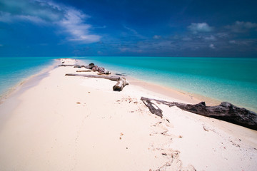 Tropical island paradise