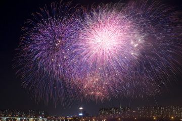 Fototapeta premium Fireworks Festival