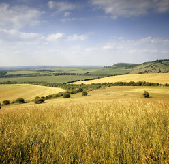 Fototapeta na wymiar gruntów rolnych