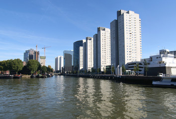 Fototapeta premium New buildings in Rotterdam