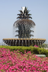 Pineapple fountain