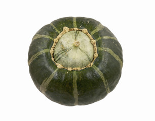 Buttercup Squash