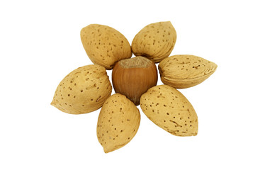 Flower of nuts isolated on white background