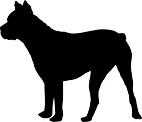 Animali silhouette - cani - Mastino
