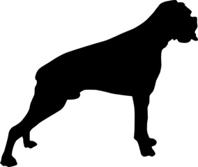 Animali silhouette - cani - Boxer