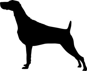 Animali silhouette - cani - Setter
