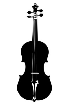 Violino