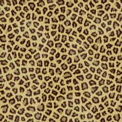 Jaguar Fur