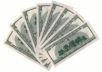 Fan of American dollars. XXXL size