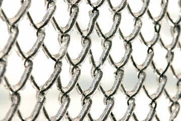 Fototapeta premium Icy Fence