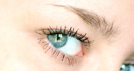 Human eye. macro shooting