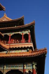 pekin temple