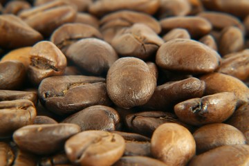 close up photo of coffee beans