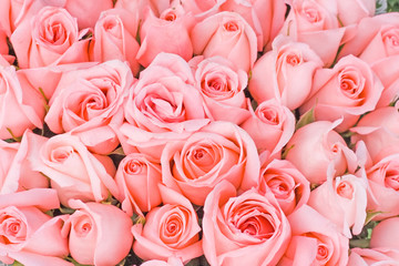 pink roses bride  wedding flowers bunch of bridal photos series