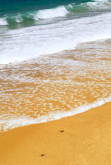 Sandy ocean beach