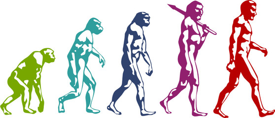 Evoluzione - obrazy, fototapety, plakaty
