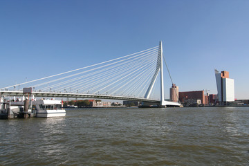 Fototapeta na wymiar Most Erazma w Rotterdamie