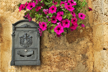 Old-looking mailbox with petunias
