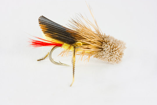 Trout lure for fly fishing
