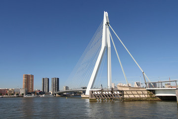 Rotterdam Erasmusbridge