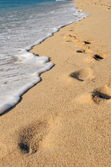 Sea Shore