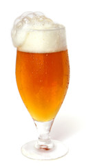 Glass beer with foam on white background