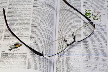 dictionnaire