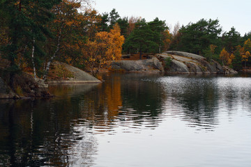 Fototapeta na wymiar Babie lato liści w Szwecji