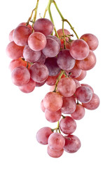 red grape on white