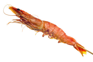 Grilled tiger prawn on a skewer isolated on white background