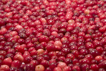 Cranberries