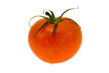 fresh wet tomato