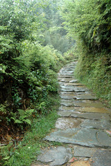 Fototapeta na wymiar ancient staircase leads to a rice field in China