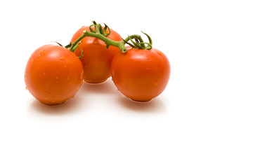 Tomatoes on the vine