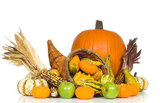 Cornucopia