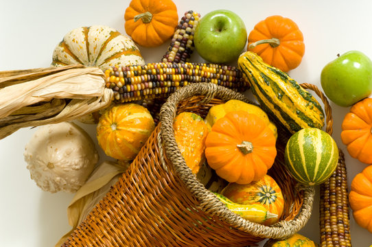 Cornucopia