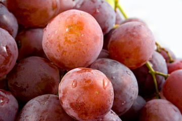 Fototapeta premium grape